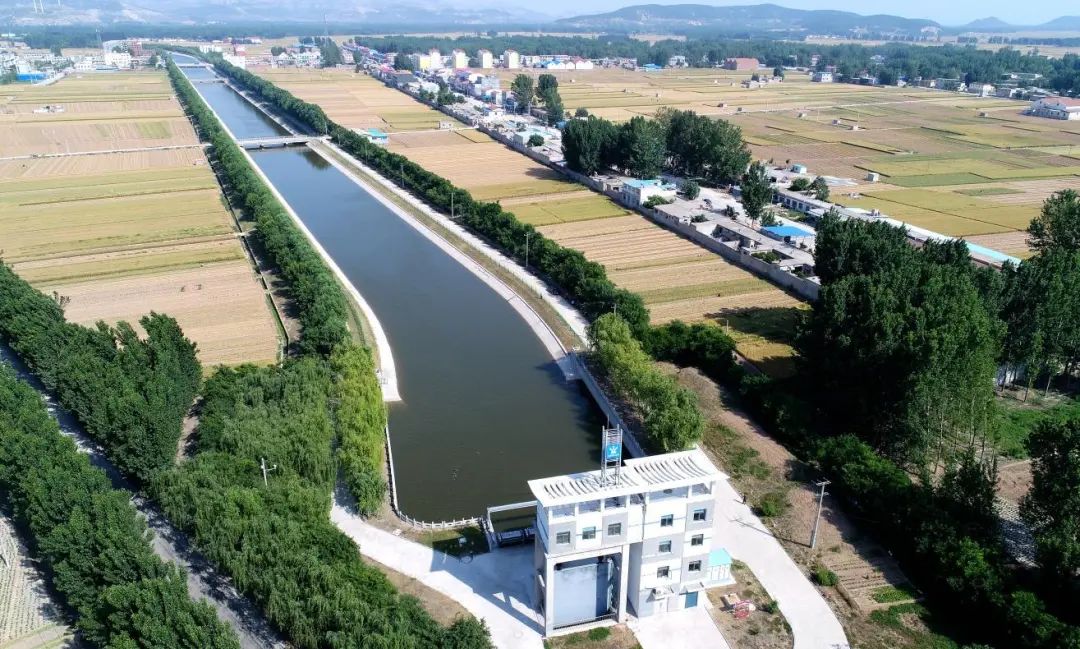 AG���˹��ʡ�(�й���)�ٷ���վ-��վ���